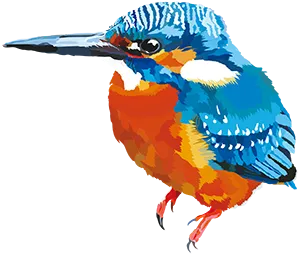 自然豊かな東京経済大学の国分寺キャンパス