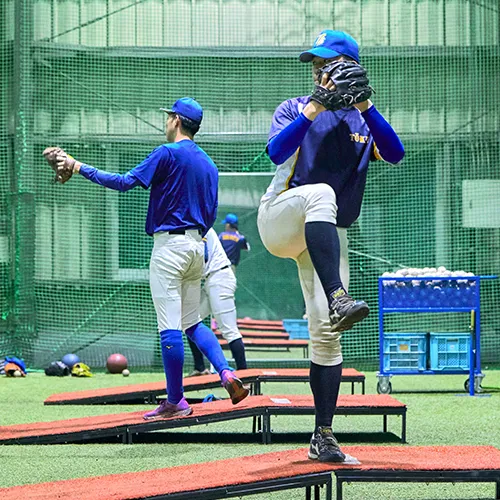 東京経済大学の体育会