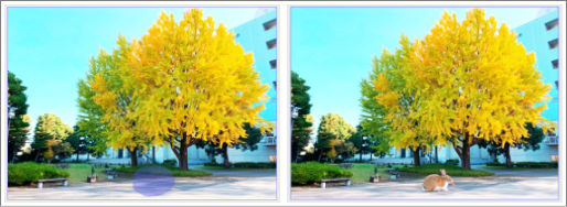 20240821_a_e_017.png