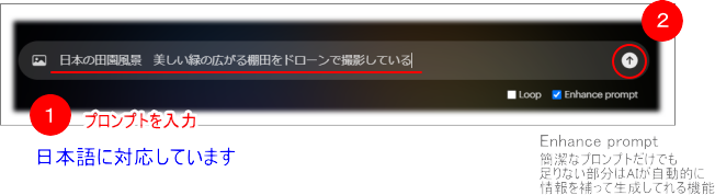 20240829_d_m_005.png