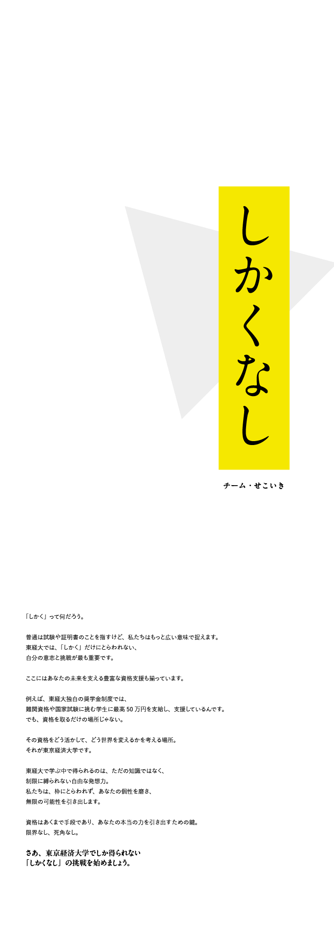 コピー案11
