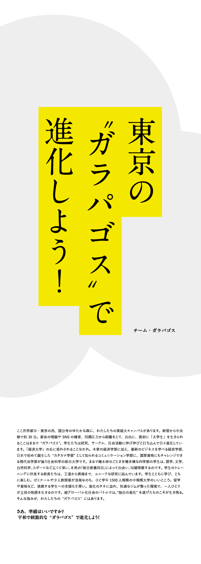 コピー案13