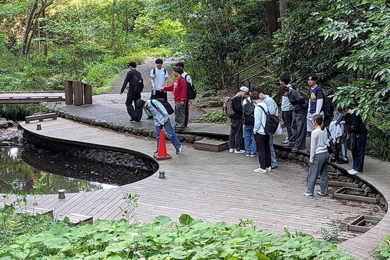 ⽣物多様性のなりたちと理解