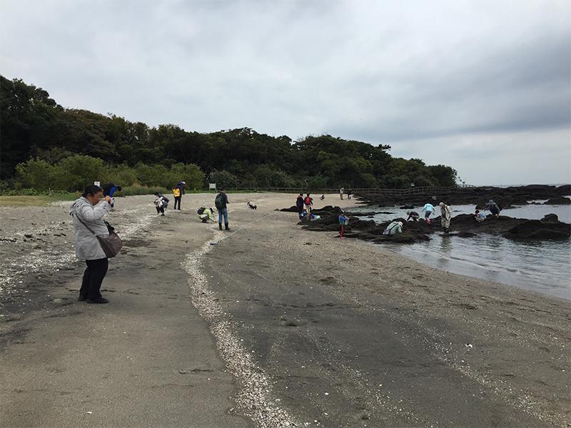 海の生物多様性を学ぶ